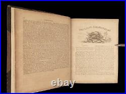 1863 Southern Rebellion CIVIL WAR Confederate SLAVERY Battles Maps Dred Scott 2v