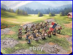 28mm DPS painted American Civil War Confederate Foot Regt Charging 1861-65 HW263