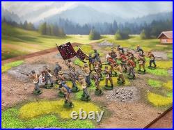 28mm DPS painted American Civil War Confederate Texas Foot Battalion 24 HW436