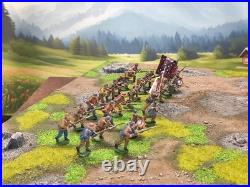 28mm DPS painted American Civil War Confederate Texas Foot Battalion 24 HW436