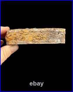 Awesome Dug Civil War Sardine Can Wilson Measles Confederate Va