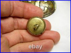 Beautiful Non Dug Confederate Navy Officers Coat Button