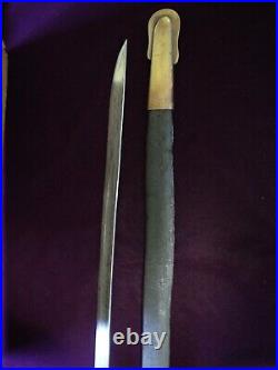 CIVIL War Confederate A. H. De Witt Georgia Foot Officer Sword 3 Known Ex Hoffman