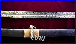 CIVIL War Confederate Dog River Foot Officer Sword W College Hill Features P 188