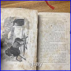 Civil War US Confederate Nurse Spy Sara Edmonds Photo Book Vintage Crossdresser