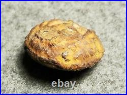 Confederate Civil War Super Rare Iron Face Georgia State Button 24mm GA 10