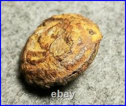 Confederate Civil War Super Rare Iron Face Georgia State Button 24mm GA 10