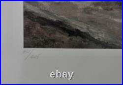 Don Troiani Confederate Drummer Collectible Civil War Print MINT -Unframed