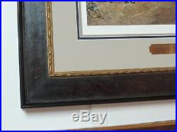 Don Troiani Confederate Standard Bearer Museum Framed Civil War Print