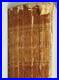 History of The Confederate States Navy 1886 Antique Book Civil War NO COVER