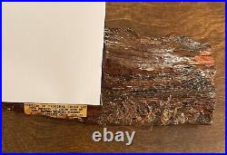 Original Cedar Log! Nathan Bedford Forrest Boyhood Home Civil War Confederate