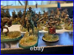 Perry Expertly Painted American Civil War 28mm Confederate Cavalry 41 miniatures