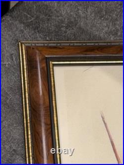 RARE Don Troiani Confederate Standard Bearer Signed Print Framed RARE Don Troiani Confederate Standard Bearer Signed Print Framed