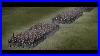 The Confederates Greatest Victory 1863 Historical Battle Of Chancellorsville Total War Battle